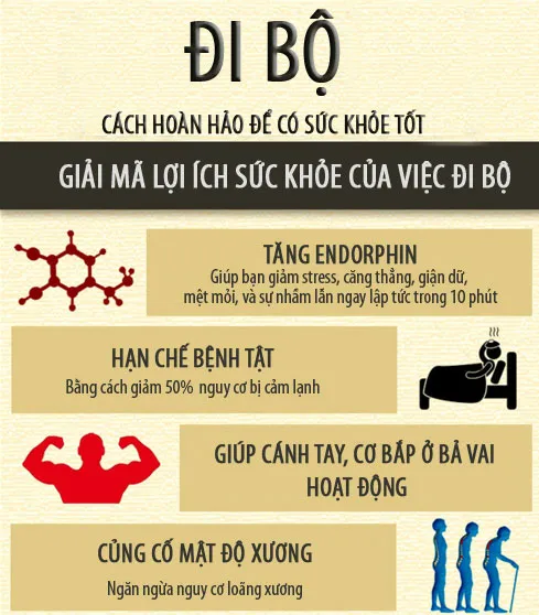Đi bộ mang lại nhiều lợi ích cho cơ thể