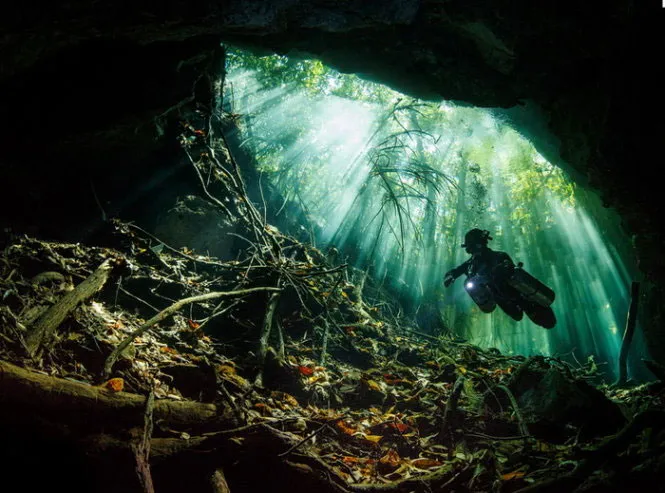 Thợ lặn tại hố sụt tự nhiên Bill's Hole, Mexico