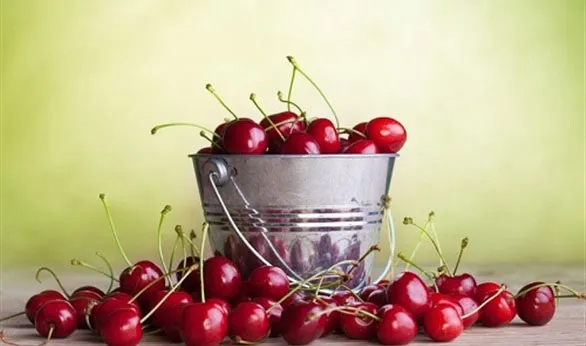 Quả cherry đỏ tươi mang lại nhiều lợi ích sức khỏe.