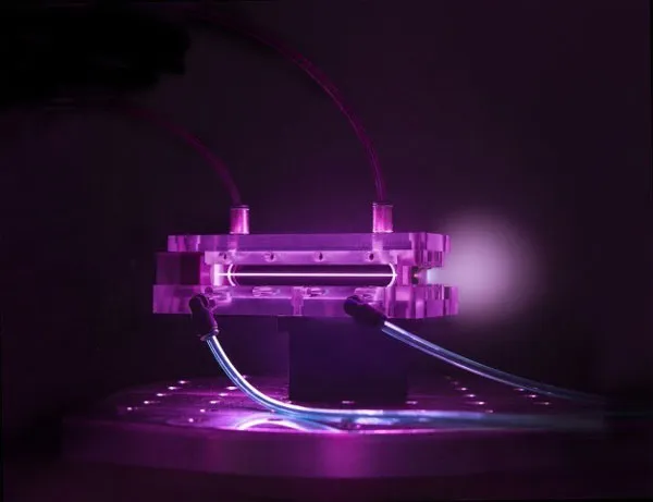 Máy gia tốc hạt để bàn của Berkeley Lab lập kỷ lục mới