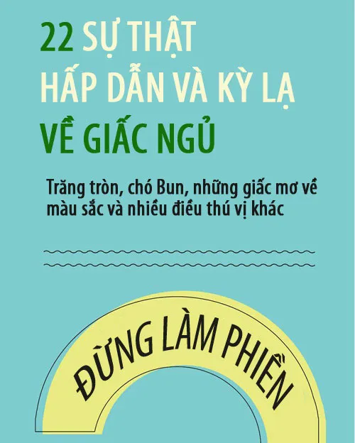 Điều kỳ lạ vê giấc ngủ