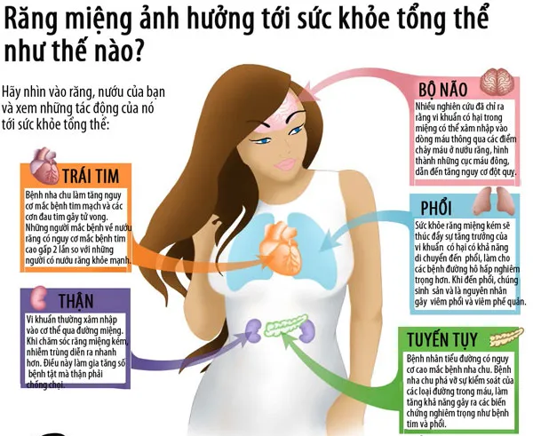 Bệnh nha chu làm tăng nguy cơ mắc bệnh tim
