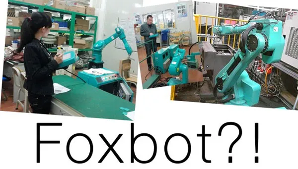 Robot Foxbot