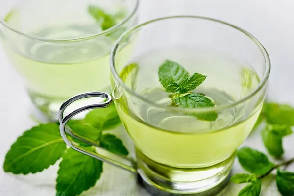 Đồ uống có hương bạc hà cũng có tác dụng giải khát nhanh