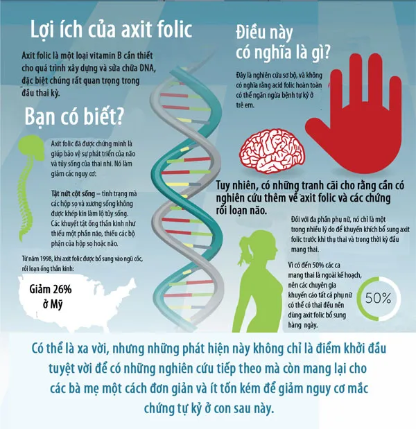 Axit folic giúp bảo vệ sự phát triển của não và tủy sống của thai nhi