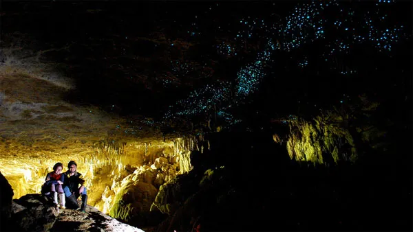 Hang động phát sáng giống đom đóm ở New Zealand.