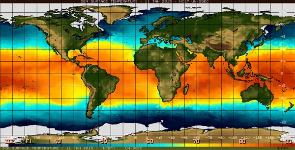 Hiện tượng El Nino