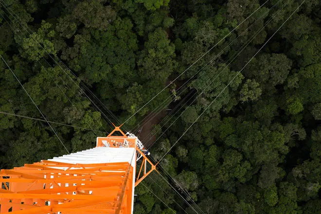 Câu hỏi lớn là Amazon đang cung cấp carbon cho môi trường hay hút sạch chúng?