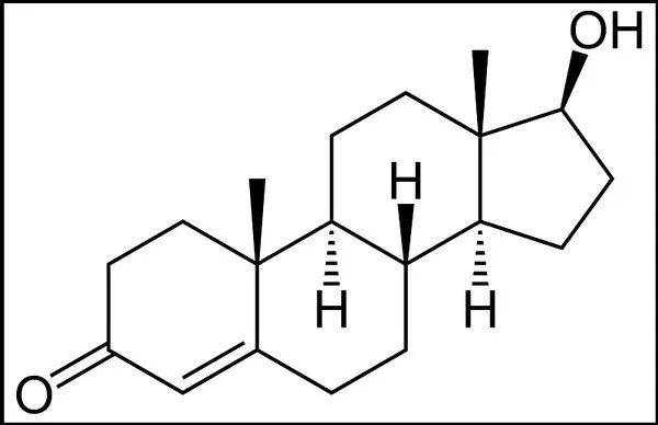 Cấu trúc phân tử của testosterone