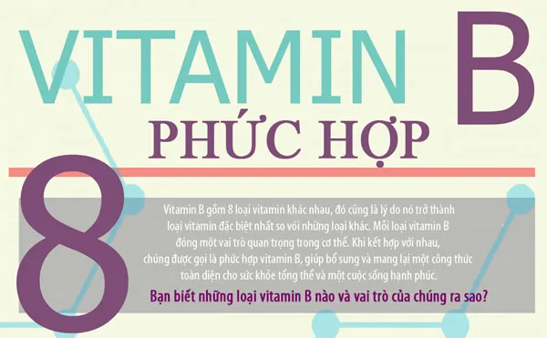 Vitamin B gồm 8 loại khác nhau