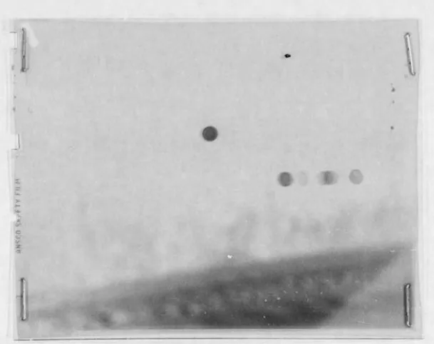 Bức ảnh về vật thể bay không xác định tại thành phố Roswell năm 1949.