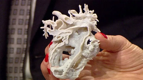 Tim được tạo ra bằng công nghệ in 3D