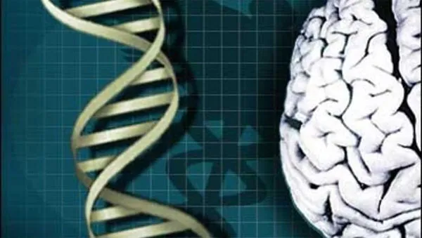 Những người sở hữu 1 phiên bản của gene klotho có tuổi thọ cao hơn