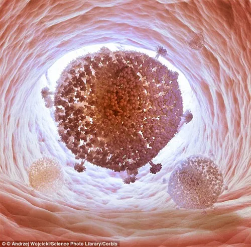 Virus HIV