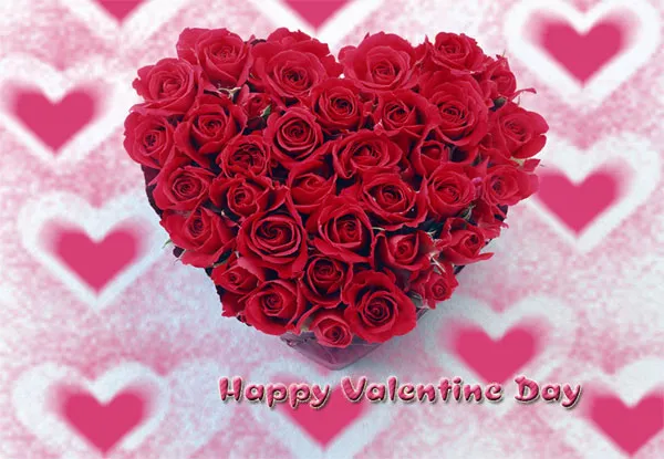 Hoa hồng trong ngày Valentine