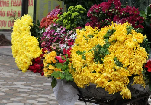 Cúc vàng thường được cắm trên bàn thờ ngày Tết.