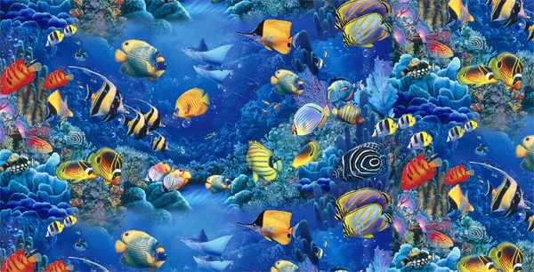 Loài tôm cua ăn xác chết dưới biển cần nhiều oxy hơn so với những sinh vật nhỏ hơn.