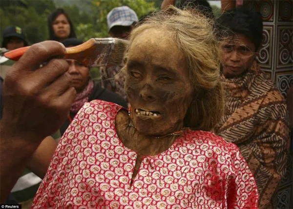 Người Tana Toraja đặt quan tài trên vách đá vôi dựng đứng