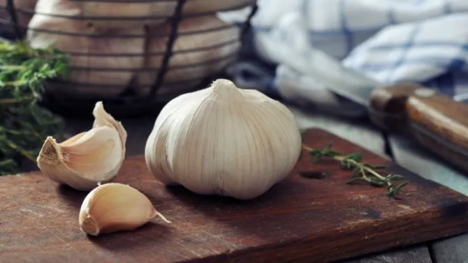 công dụng của tỏi