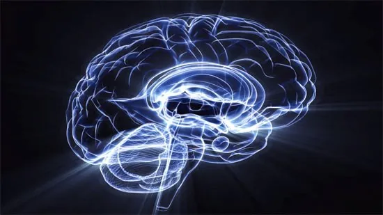 chỉ số iQ