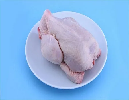 thịt gà