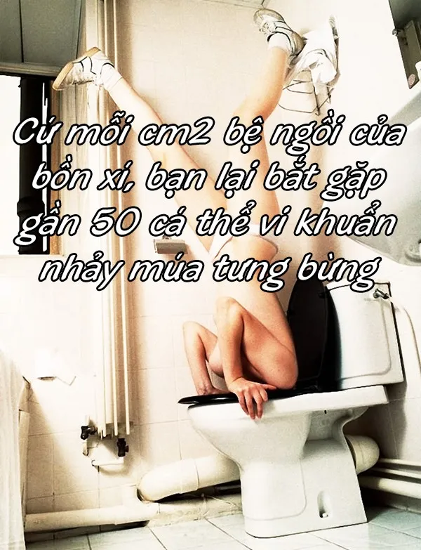 Bồn vệ sinh