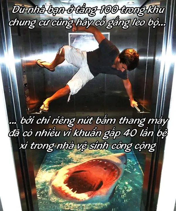 Thang máy
