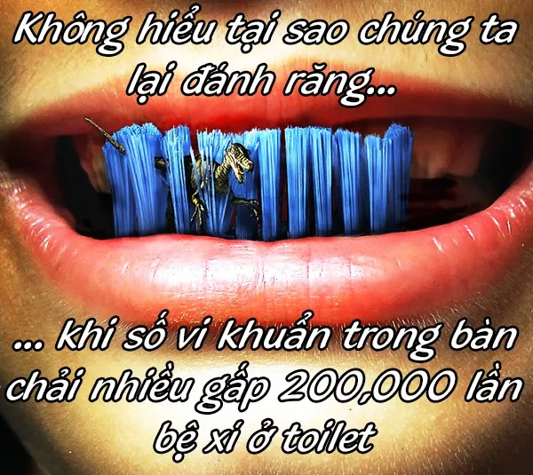 bàn chải đánh răng
