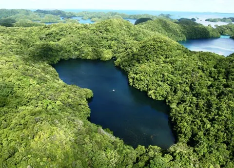 Thiên nhiên kỳ bí