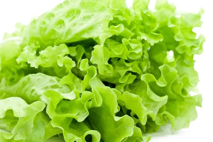 Rau xà lách chứa rất ít đường