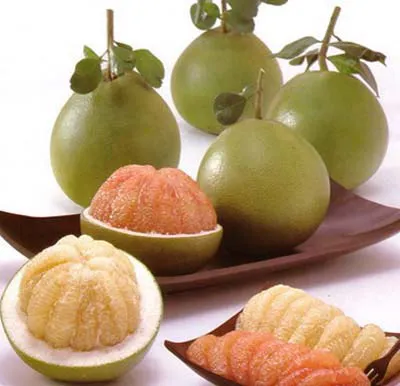Các loại rau quả tốt cho sức khỏe