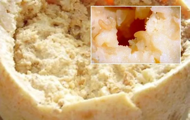 Phô mai giòi Casu Marzu