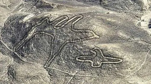 Hình vẽ lạ trên sa mạc Nazca