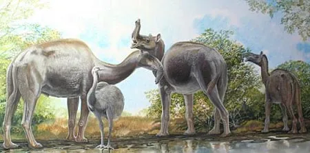 Sinh vật kỳ lạ