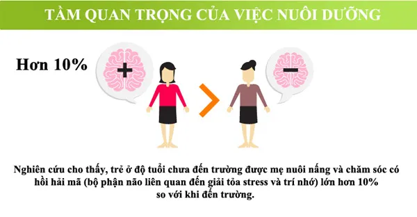 Tầm quan trọng của việc nuôi dưỡng
