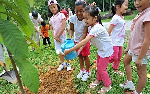 Trẻ em Singapore tham gia Ngày Trồng cây
