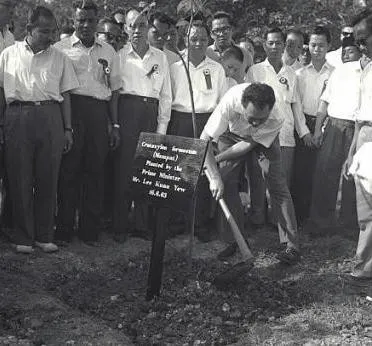 Ông Lý Quang DIệu trồng cây vào ngày 16/6/1963