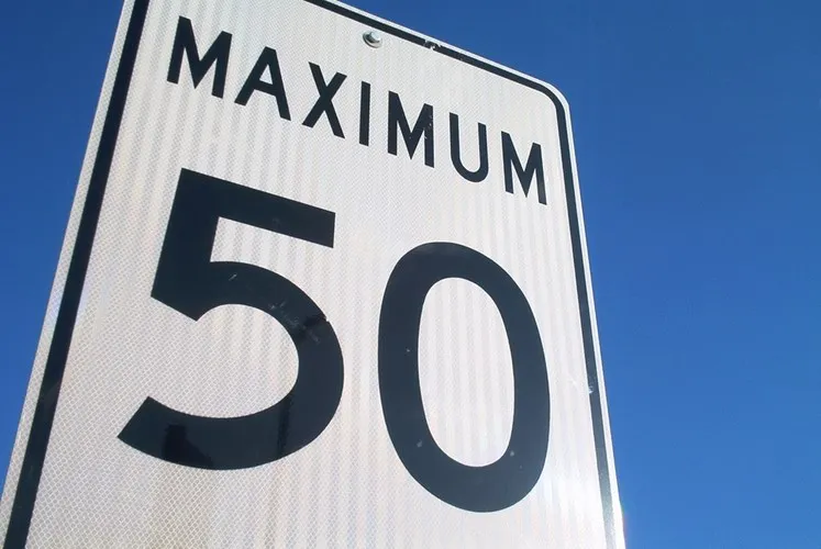 Bướm có thể bay với tốc độ lên đến 50km/h