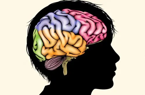 Não người