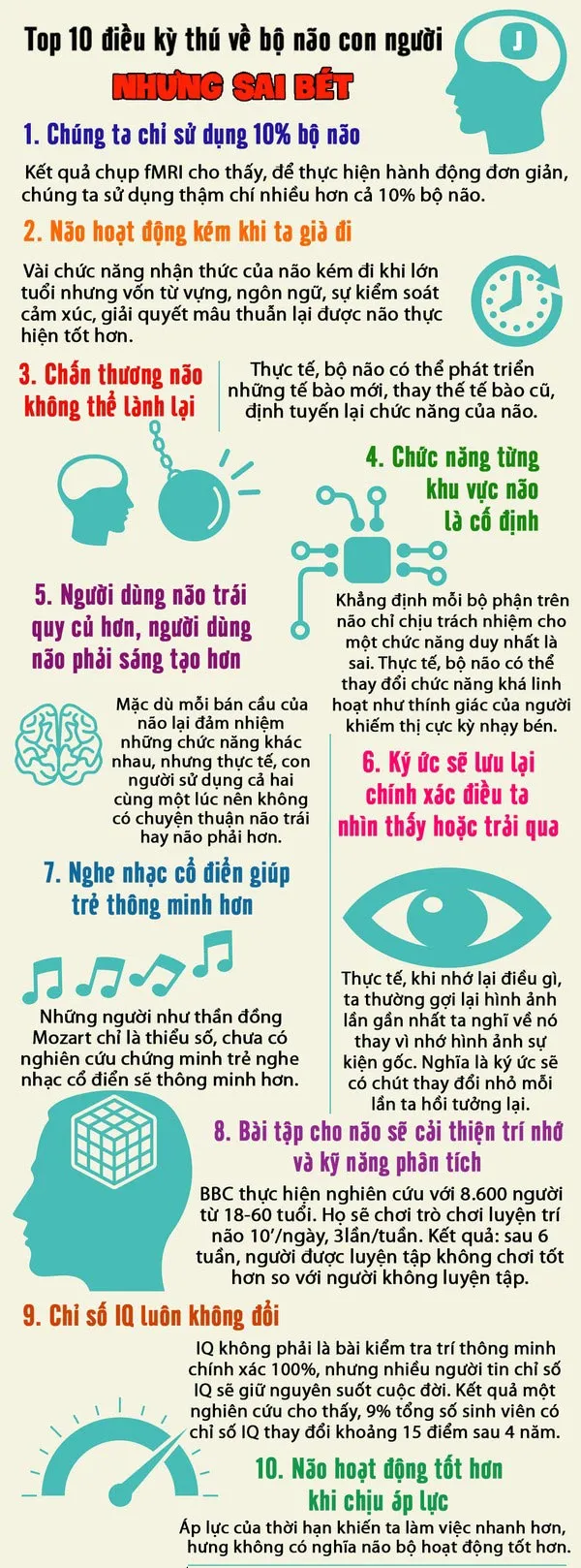 Bộ não