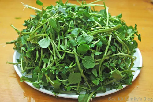 Rau cải xoong