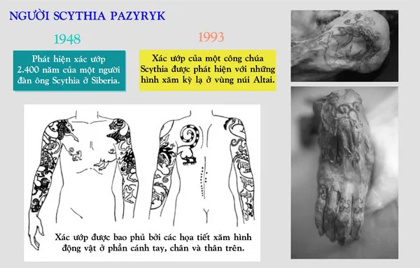 Nghệ thuật xăm của người Scythia Pazyryk