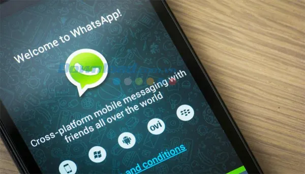 Whatsapp trên điện thoại