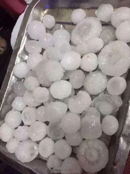 Những viên đá to thu được sau trận mưa