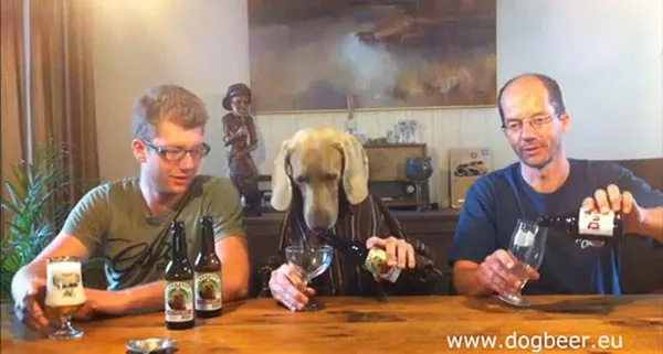 The dog beer