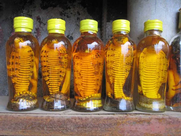 Rượu rắn