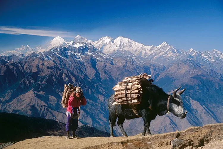 Đa số dân số Nepal sống ở vùng núi và nông thôn.