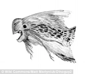 Con khủng long có lông vũ có tên là Oviraptor được tìm thấy đầu tiên ở Trung Quốc
