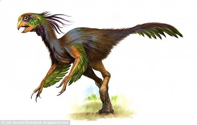 Loài khủng long có lông vũ có tên Oviraptor Khaan từ Mông Cổ
