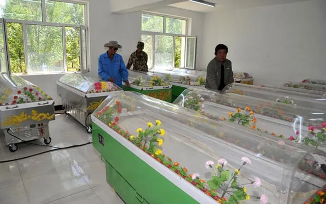 Các quan tài băng để bảo quản xác chết